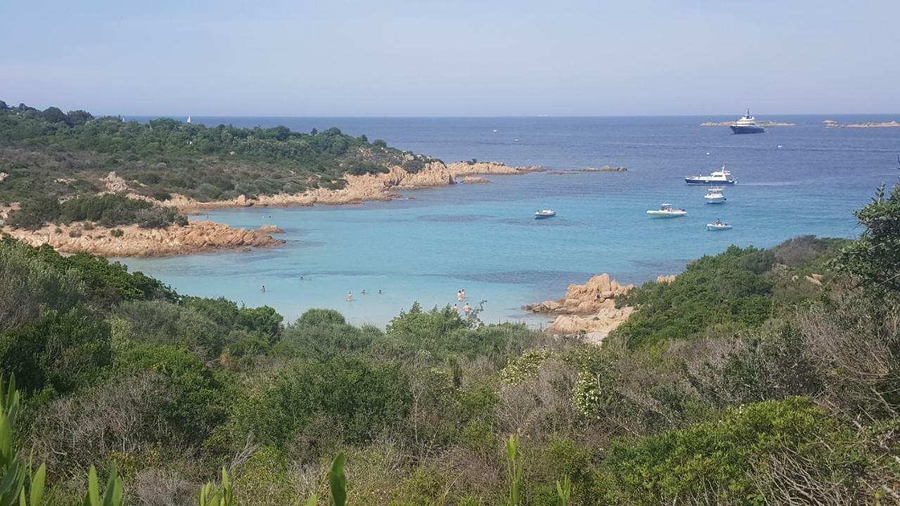 ValeValeHome - fully equipped kitchen, reserved parking, big garden Olbia Eksteriør bilde